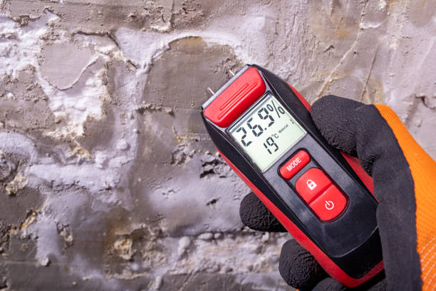 Best Residential Mold Remediation in Brookston, IN