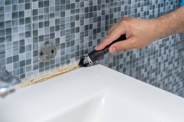 Best Localized Mold Remediation (e.g., coastal areas, humid climates) in Brookston, IN